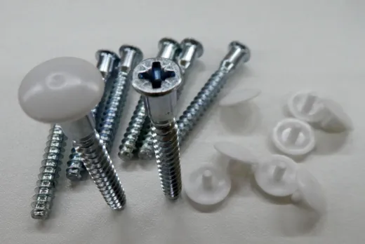 Schrauben mit Abdeckkappen Schrauben mit Abdeckkappen