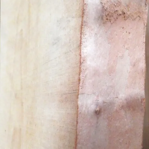 Birke Bohle / Schnittholz für DIY-Projekte