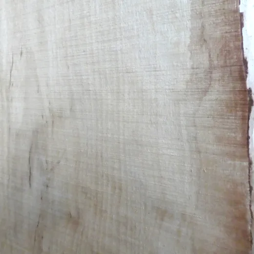 Birke Bohle / Schnittholz für DIY-Projekte