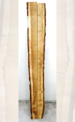 Dieses Bild zeigt das Paar Eichen-Baumkanten mit 1,69 m Länge und 6 cm Stärke in der Gesamtansicht. Die natürliche Maserung und die teilweise abgebrochene Rinde sind gut erkennbar.