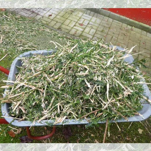 Leistungsstarker Benzin-Häcksler im praktischen Einsatz.