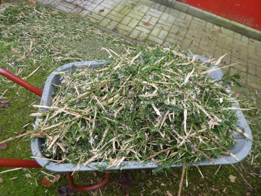 Benzin-Häcksler, Gartenschredder