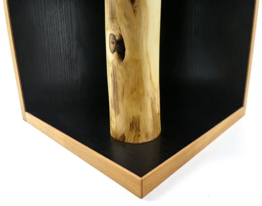 Pflanzentisch "Cube" mit Robinienholz – Modern & Vielseitig