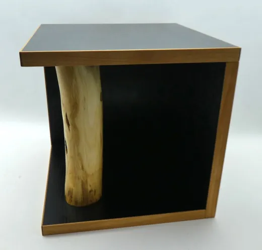 Pflanzentisch "Cube" mit Robinienholz – Modern & Vielseitig