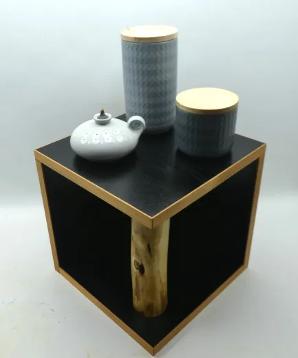 Pflanzentisch "Cube" mit Robinienholz – Modern & Vielseitig