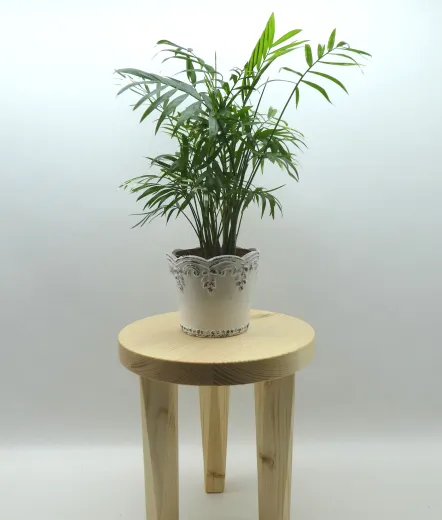 Pflanzentisch, Hocker mit 3 Beinen, Fichte