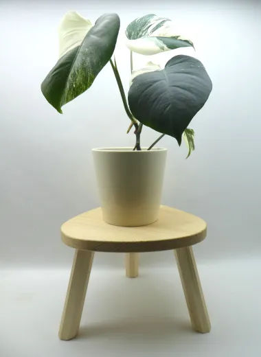 Pflanzentisch dreieckig, Hocker mit 3 Beinen, Fichte