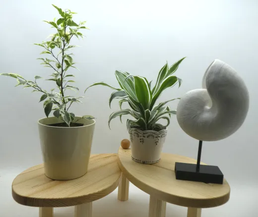 Doppelter Pflanzentisch "Blätter", verstellbar, Fichte