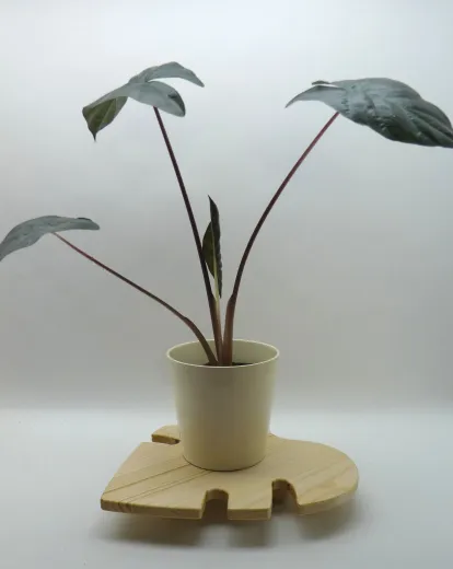 Pflanzentisch "Monstera", ca. 29x29cm, Fichte