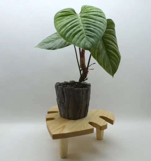 Pflanzentisch "Monstera", ca. 29x29cm, Fichte, Einzelstück
