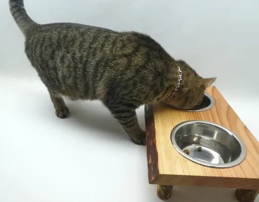 Futterbar rustikal, Holz Douglasie, mit Doppelnapf, für Katzen und kleine Hunde Futterbar rustikal, Holz Douglasie, mit Doppelnapf, für Katzen und kleine Hunde