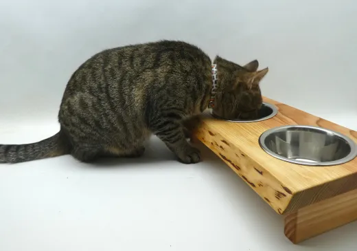 Futterbar, Holz Douglasie, Edelstahl Doppelnapf, für Katzen und kleine Hunde