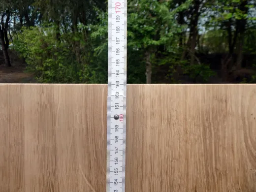 DIY-Tischplatte aus Massivholz mit Baumkante – Unikat zum Selbstgestalten