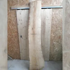 Birke Bohle / Schnittholz für DIY-Projekte