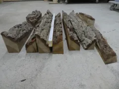 Restholz-Abschnitte mit Waldkante Eiche